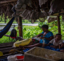 Reportan brote de paludismo en comunidades indígenas de la Sierra de Perijá